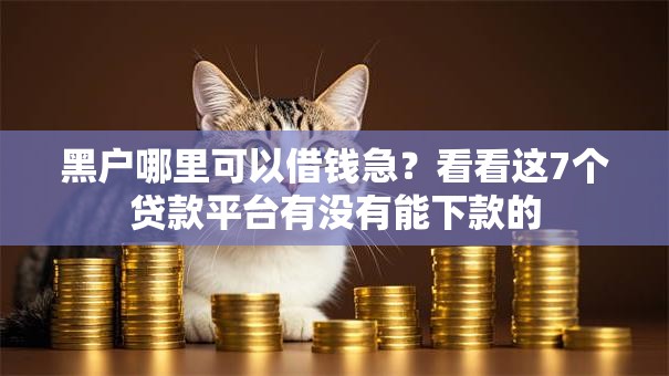 黑户哪里可以借钱急？看看这7个贷款平台有没有能下款的
