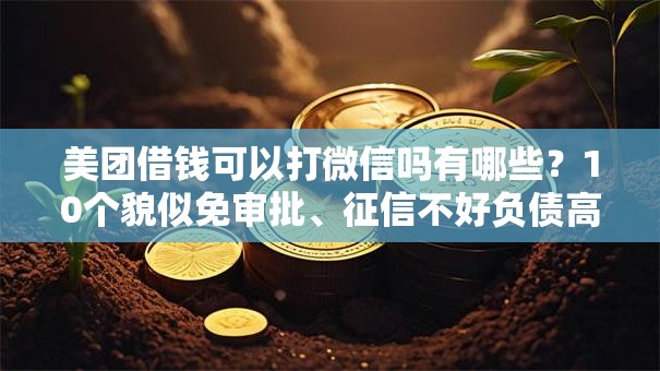 美团借钱可以打微信吗有哪些？10个貌似免审批、征信不好负债高的口子合集