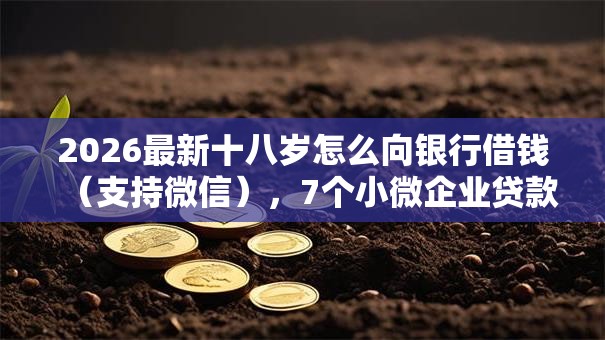 2026最新十八岁怎么向银行借钱(支持微信),7个小微企业贷款平台无私分享 2026最新十八岁怎么向银行借钱(支持微信),7个小微企业贷款平台无私分享