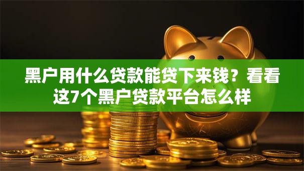 黑户用什么贷款能贷下来钱？看看这7个黑户贷款平台怎么样