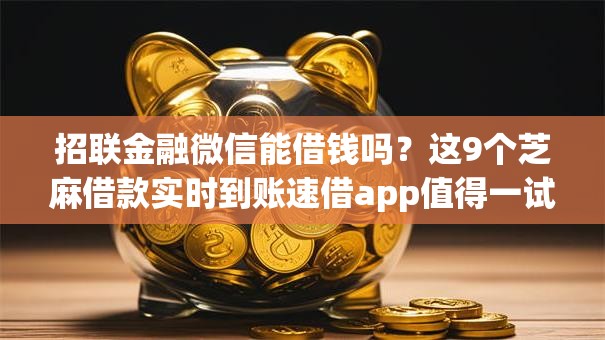 招联金融微信能借钱吗？这9个芝麻借款实时到账速借app值得一试