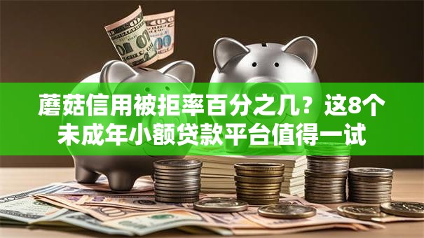 蘑菇信用被拒率百分之几?这8个未成年小额贷款平台值得一试 蘑菇信用被拒率百分之几?这8个未成年小额贷款平台值得一试