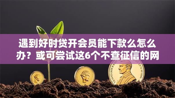 遇到好时贷开会员能下款么怎么办?或可尝试这6个不查征信的网贷平台 遇到好时贷开会员能下款么怎么办?或可尝试这6个不查征信的网贷平台