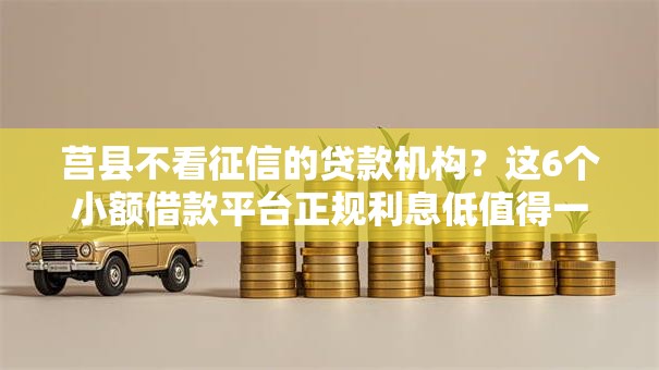 莒县不看征信的贷款机构？这6个小额借款平台正规利息低值得一试