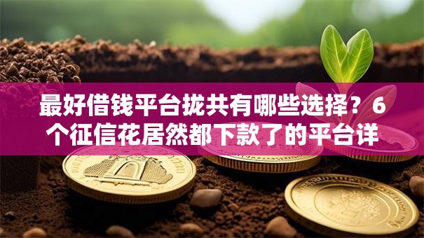 最好借钱平台拢共有哪些选择？6个征信花居然都下款了的平台详解