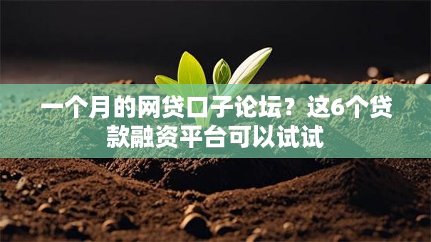 一个月的网贷口子论坛？这6个贷款融资平台可以试试