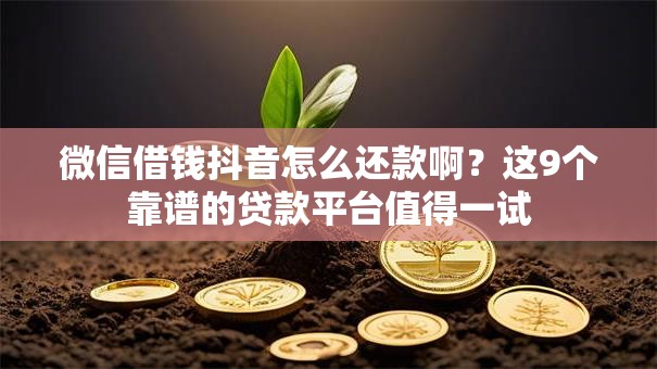 微信借钱抖音怎么还款啊？这9个靠谱的贷款平台值得一试