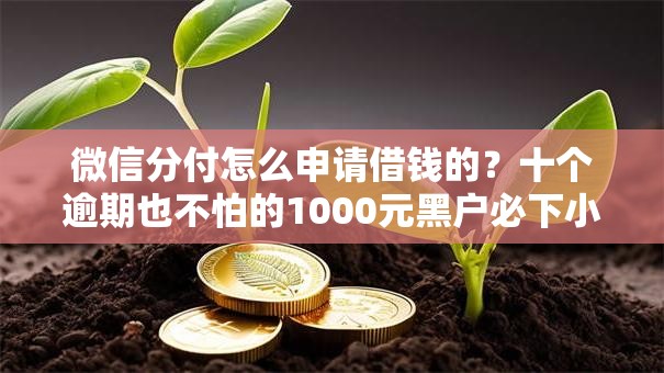 微信分付怎么申请借钱的？十个逾期也不怕的1000元黑户必下小贷
