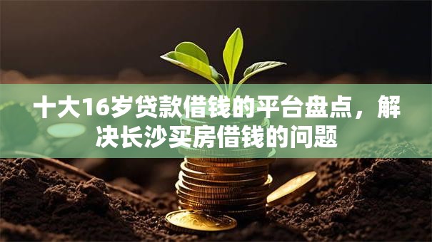 十大16岁贷款借钱的平台盘点，解决长沙买房借钱的问题
