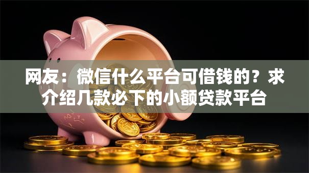 网友：微信什么平台可借钱的？求介绍几款必下的小额贷款平台