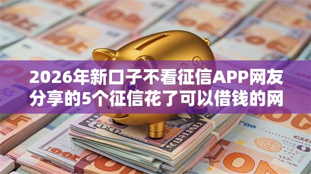 2026年新口子不看征信APP网友分享的5个征信花了可以借钱的网贷平台我觉得不错！