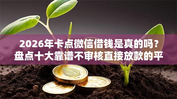 2026年卡点微信借钱是真的吗？盘点十大靠谱不审核直接放款的平台