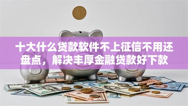 十大什么贷款软件不上征信不用还盘点，解决丰厚金融贷款好下款吗的问题