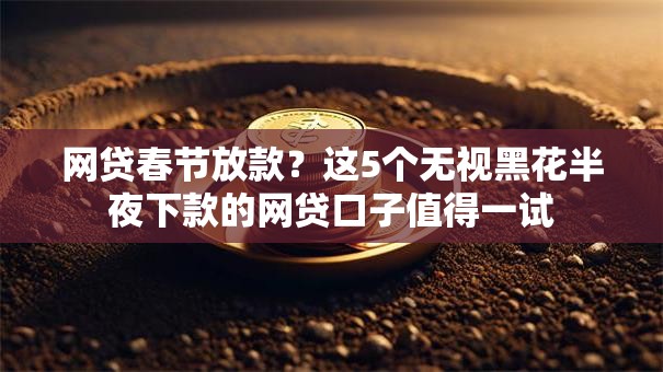 网贷春节放款？这5个无视黑花半夜下款的网贷口子值得一试