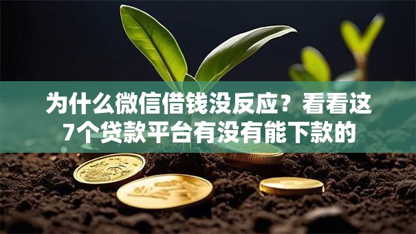 为什么微信借钱没反应？看看这7个贷款平台有没有能下款的