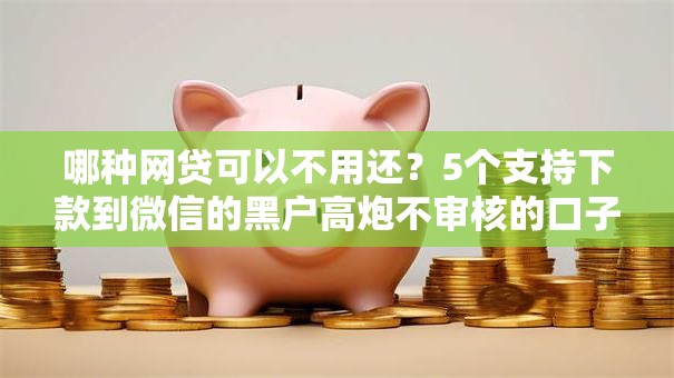 哪种网贷可以不用还?5个支持下款到微信的黑户高炮不审核的口子 哪种网贷可以不用还?5个支持下款到微信的黑户高炮不审核的口子