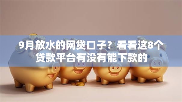 9月放水的网贷口子？看看这8个贷款平台有没有能下款的