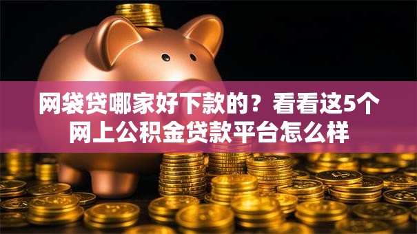 网袋贷哪家好下款的？看看这5个网上公积金贷款平台怎么样