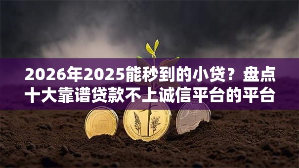2026年2025能秒到的小贷？盘点十大靠谱贷款不上诚信平台的平台