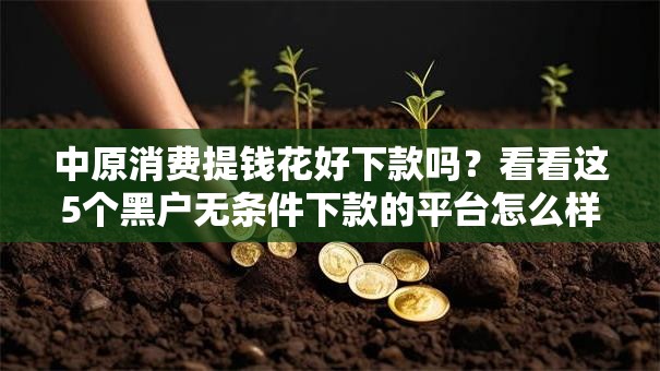 中原消费提钱花好下款吗?看看这5个黑户无条件下款的平台怎么样 中原消费提钱花好下款吗?看看这5个黑户无条件下款的平台怎么样
