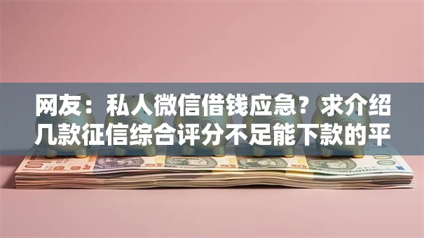 网友:私人微信借钱应急?求介绍几款征信综合评分不足能下款的平台 网友:私人微信借钱应急?求介绍几款征信综合评分不足能下款的平台