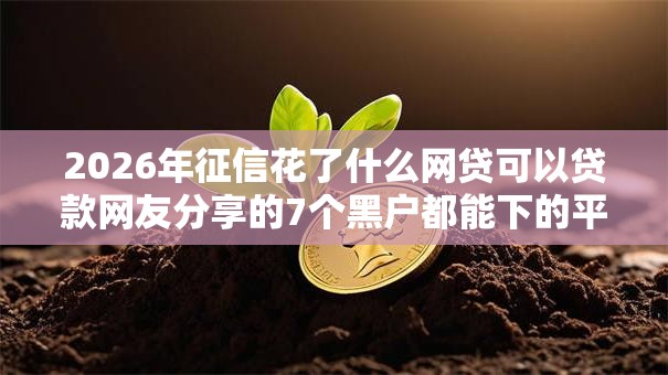 2026年征信花了什么网贷可以贷款网友分享的7个黑户都能下的平台我觉得不错！
