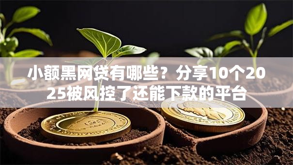 小额黑网贷有哪些？分享10个2025被风控了还能下款的平台