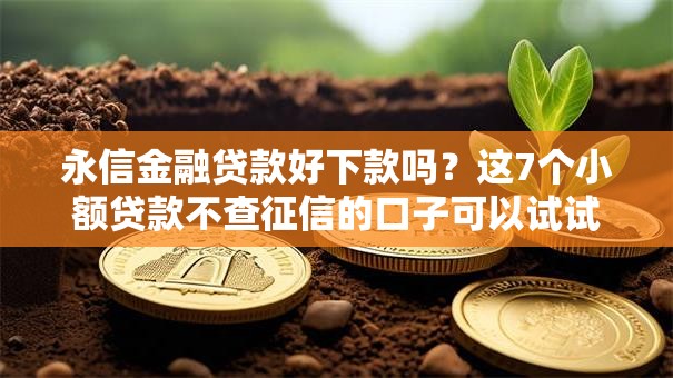 永信金融贷款好下款吗?这7个小额贷款不查征信的口子可以试试 永信金融贷款好下款吗?这7个小额贷款不查征信的口子可以试试