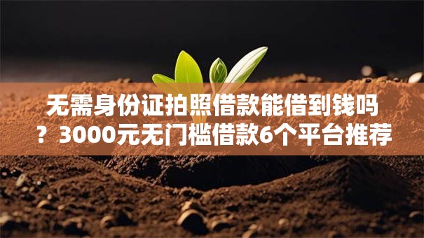 无需身份证拍照借款能借到钱吗?3000元无门槛借款6个平台推荐 无需身份证拍照借款能借到钱吗?3000元无门槛借款6个平台推荐
