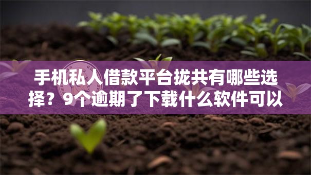 手机私人借款平台拢共有哪些选择？9个逾期了下载什么软件可以借到钱详解