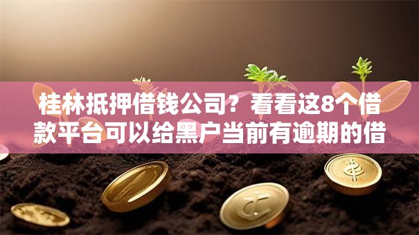 桂林抵押借钱公司？看看这8个借款平台可以给黑户当前有逾期的借款一万怎么样