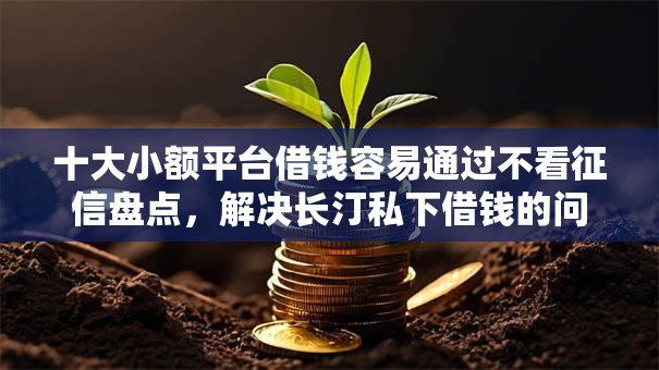 十大小额平台借钱容易通过不看征信盘点，解决长汀私下借钱的问题