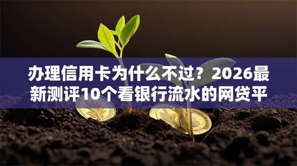 办理信用卡为什么不过?2026最新测评10个看银行流水的网贷平台 办理信用卡为什么不过?2026最新测评10个看银行流水的网贷平台