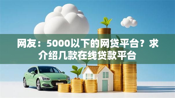 网友：5000以下的网贷平台？求介绍几款在线贷款平台