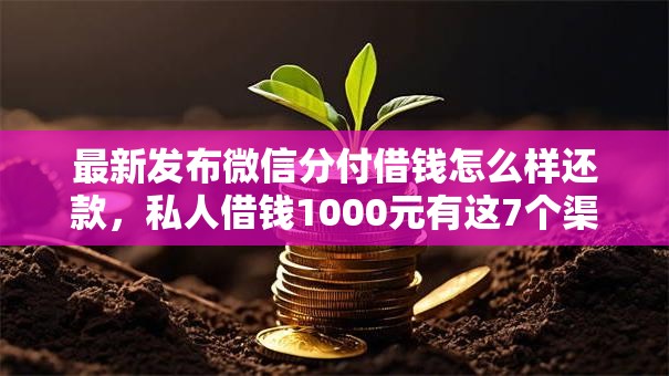 最新发布微信分付借钱怎么样还款,私人借钱1000元有这7个渠道 最新发布微信分付借钱怎么样还款,私人借钱1000元有这7个渠道