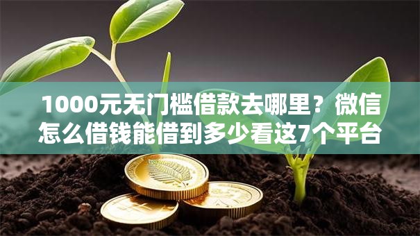1000元无门槛借款去哪里？微信怎么借钱能借到多少看这7个平台