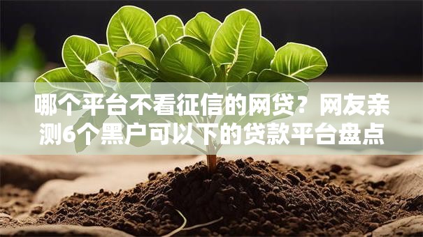 哪个平台不看征信的网贷?网友亲测6个黑户可以下的贷款平台盘点 哪个平台不看征信的网贷?网友亲测6个黑户可以下的贷款平台盘点