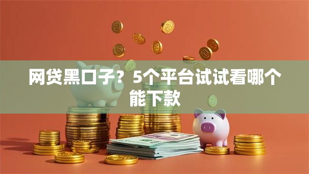 网贷黑口子？5个平台试试看哪个能下款