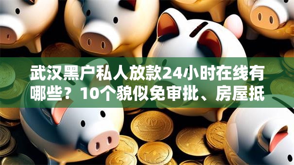 武汉黑户私人放款24小时在线有哪些?10个貌似免审批、房屋抵押贷款平台合集 武汉黑户私人放款24小时在线有哪些?10个貌似免审批、房屋抵押贷款平台合集