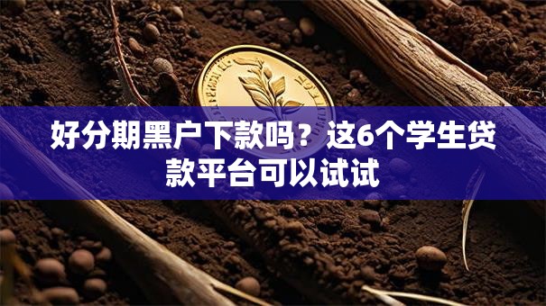 好分期黑户下款吗?这6个学生贷款平台可以试试 好分期黑户下款吗?这6个学生贷款平台可以试试