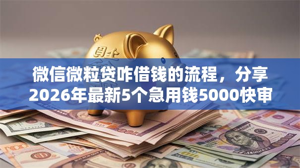 微信微粒贷咋借钱的流程，分享2026年最新5个急用钱5000快审快贷无需征信软件