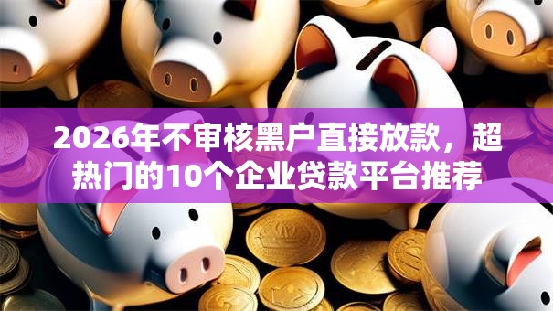 2026年不审核黑户直接放款,超热门的10个企业贷款平台推荐 2026年不审核黑户直接放款,超热门的10个企业贷款平台推荐