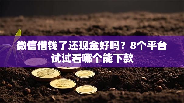 微信借钱了还现金好吗？8个平台试试看哪个能下款