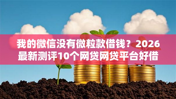 我的微信没有微粒款借钱?2026最新测评10个网贷网贷平台好借款 我的微信没有微粒款借钱?2026最新测评10个网贷网贷平台好借款