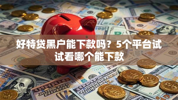好特贷黑户能下款吗？5个平台试试看哪个能下款