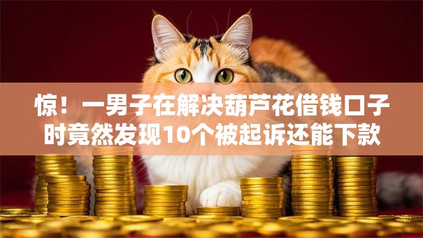 惊！一男子在解决葫芦花借钱口子时竟然发现10个被起诉还能下款的口子，事后分享了出来
