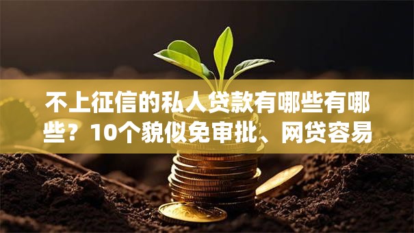 不上征信的私人贷款有哪些有哪些？10个貌似免审批、网贷容易下款18岁的app合集