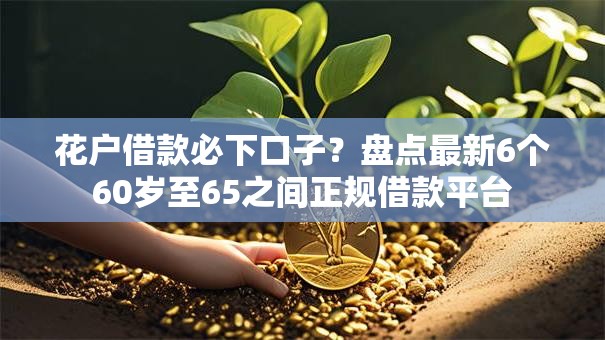 花户借款必下口子?盘点最新6个60岁至65之间正规借款平台 花户借款必下口子?盘点最新6个60岁至65之间正规借款平台