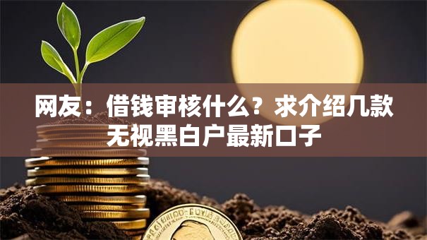 网友：借钱审核什么？求介绍几款无视黑白户最新口子