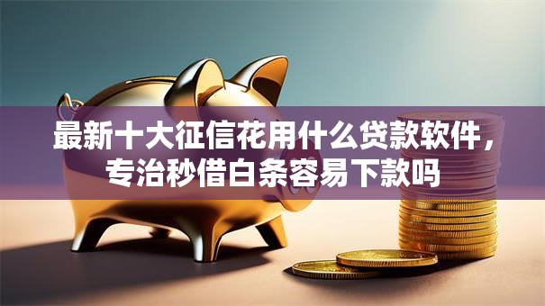 最新十大征信花用什么贷款软件，专治秒借白条容易下款吗